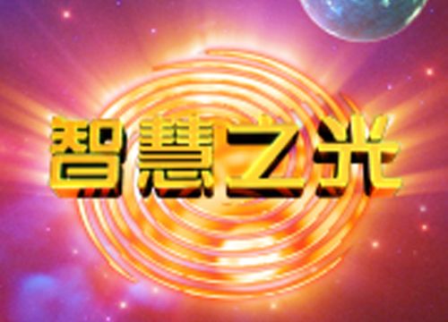智慧之光集团