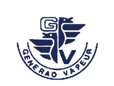 GV;GENERAO VAPEUR