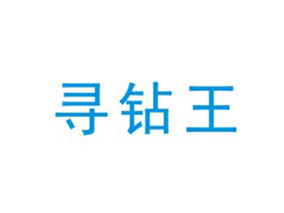 寻钻王