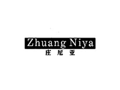 仿杰尼亚ZHUANGNIYA