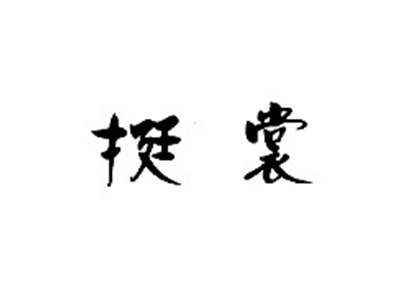 挺裳
